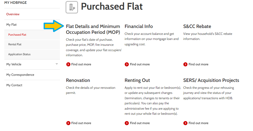 flat-details-mop