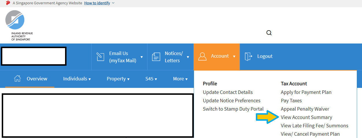 iras-view-account-summary